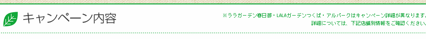 キャンペーン内容
